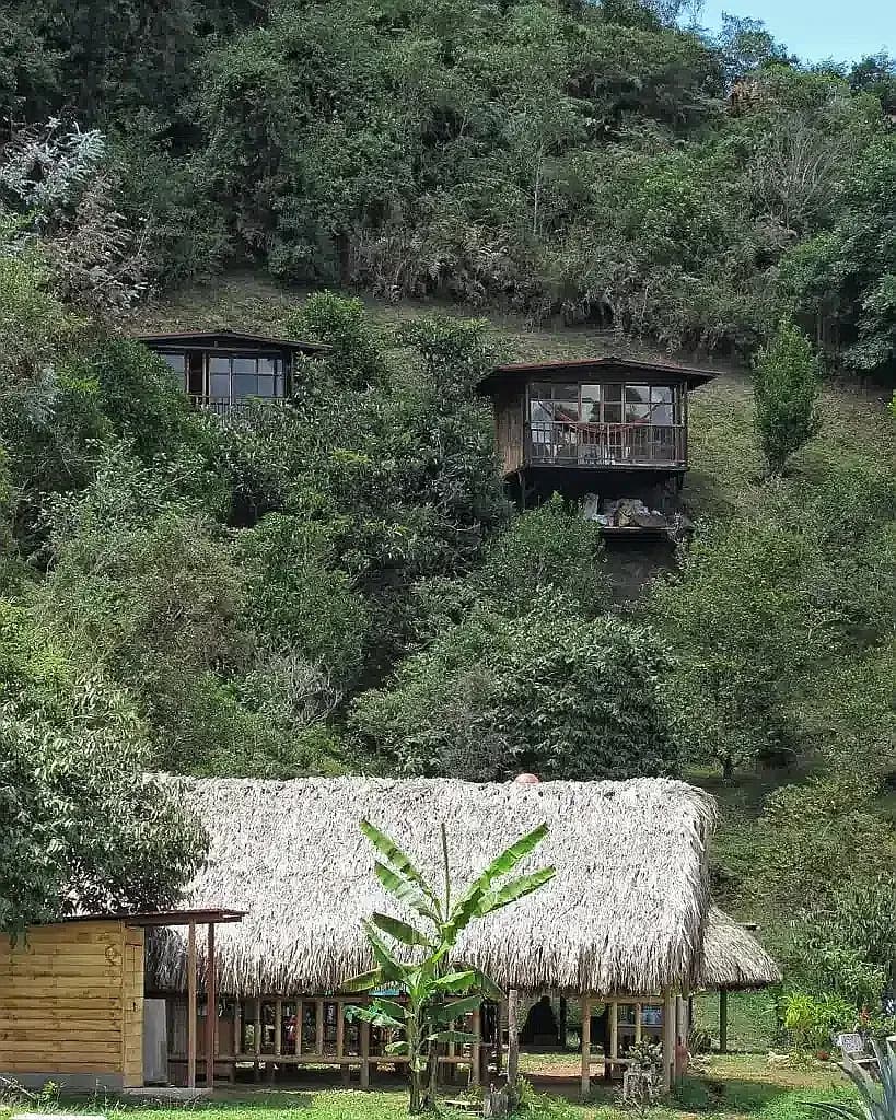 Yaogara kitchen and cabins surrounded by greenery