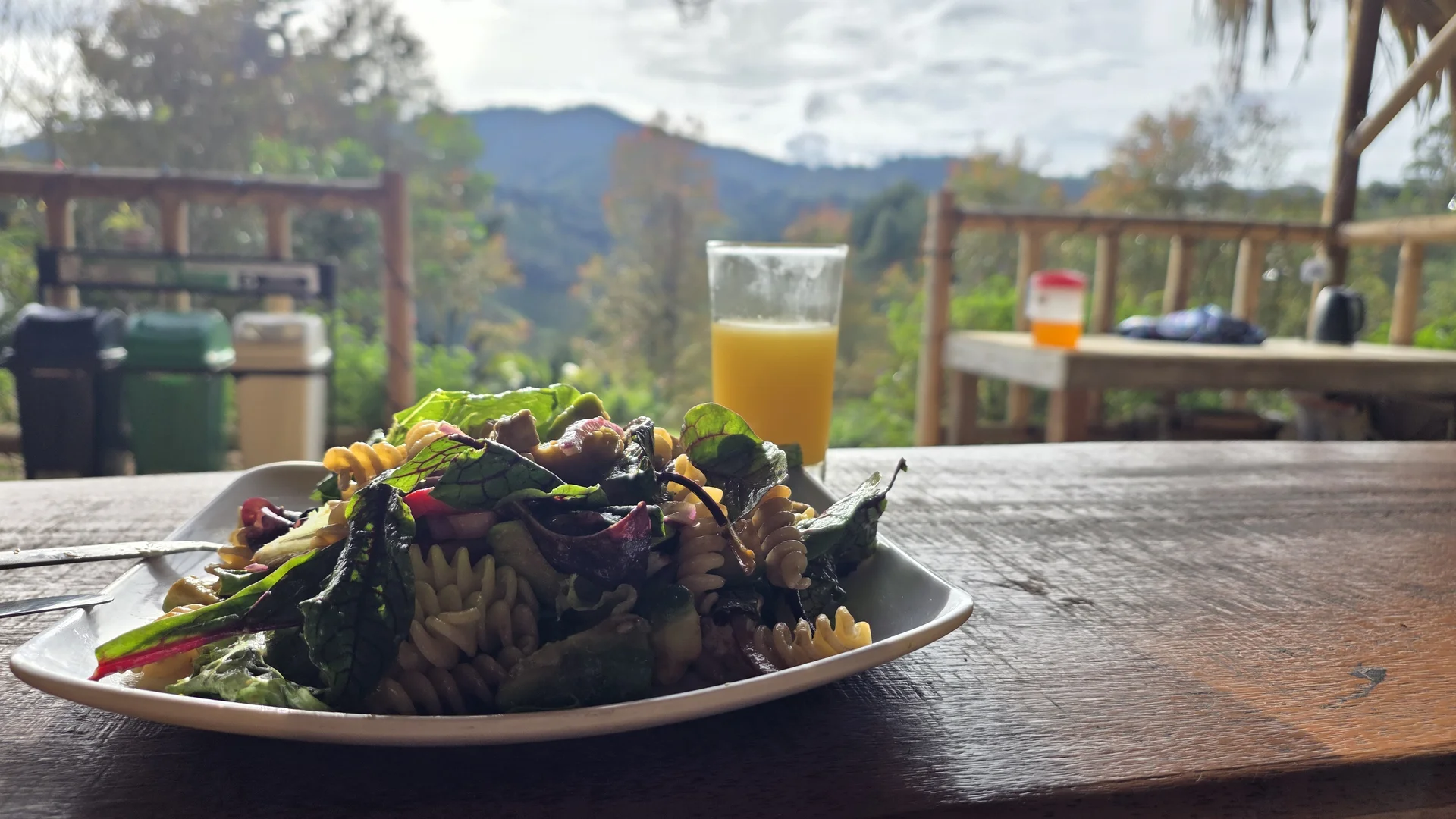 Fresh plant-based detox meal prepared at Yaogara