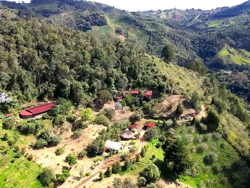 A broad mountain reserve view in the Colombian Andes